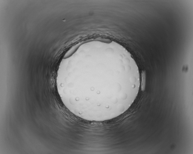 X0000115651491200911241722