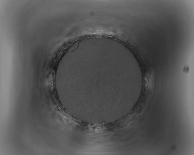 X0000115651493200911241722