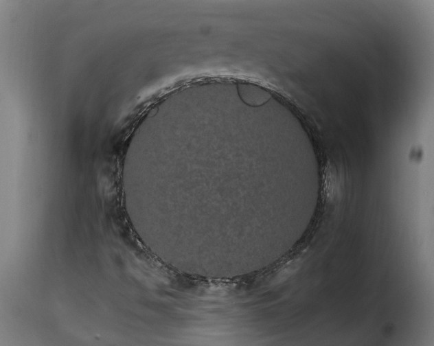 X0000115651494200911241722