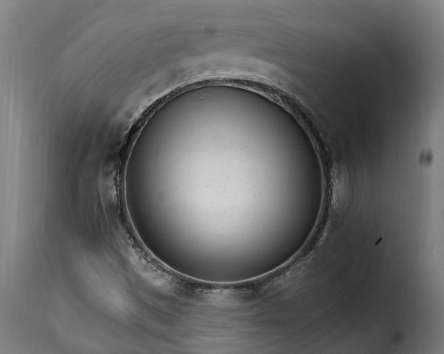 X0000115651497200911241722