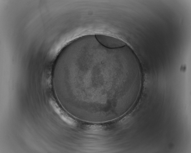 X0000115651499200911241722