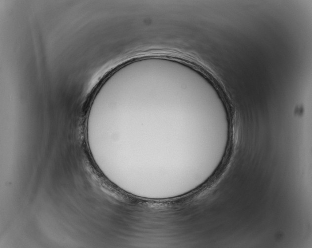 X0000115651501200911241722