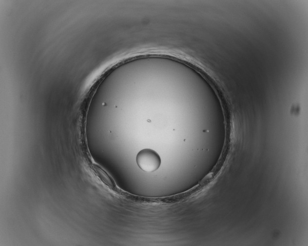 X0000115651502200911241722