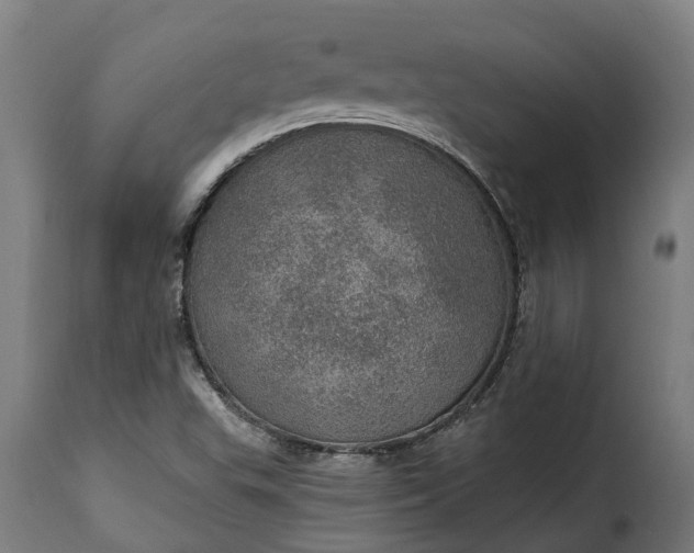 X0000115651503200911241722