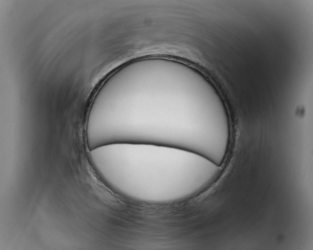 X0000115651505200911241722