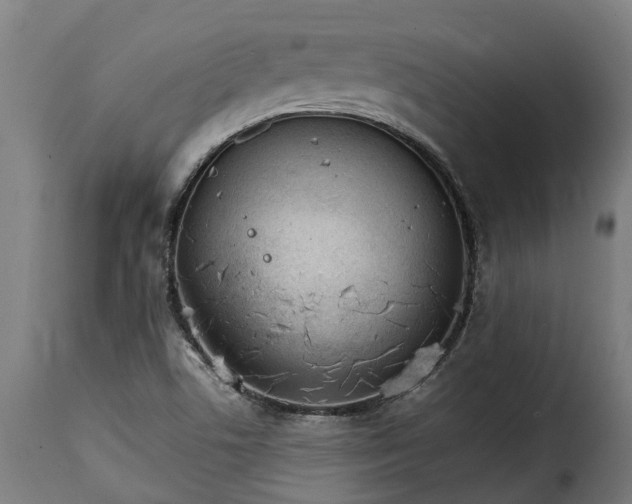 X0000115651506200911241722