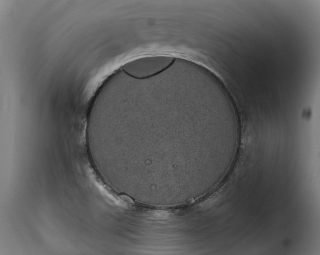 X0000115651507200911241722