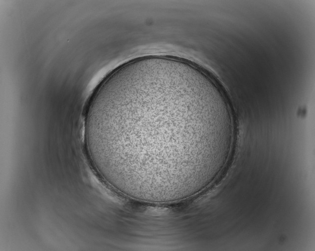 X0000115651509200911241722