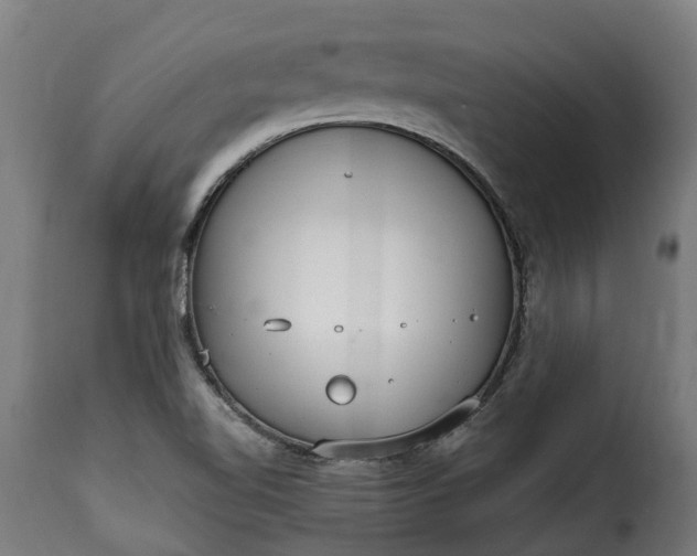 X0000115651510200911241722