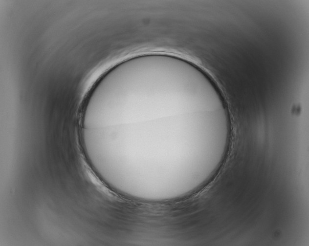 X0000115651511200911241722