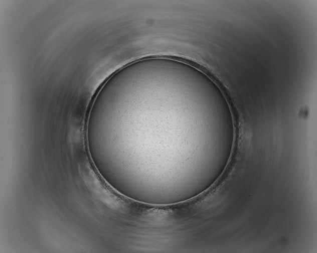 X0000115651513200911241722