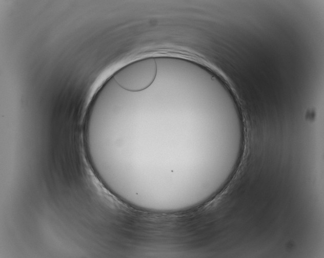 X0000115651514200911241723