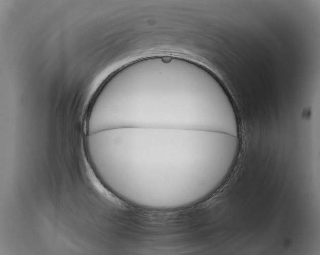 X0000115651515200911241723