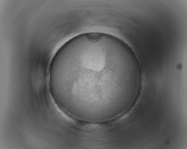 X0000115651517200911241723