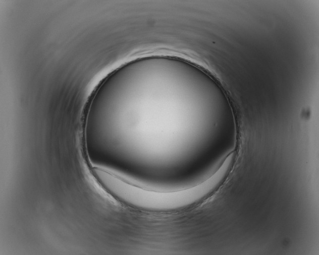 X0000115651518200911241723