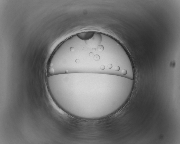 X0000115651519200911241723