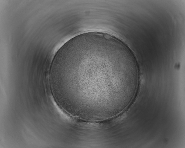 X0000115651521200911241723