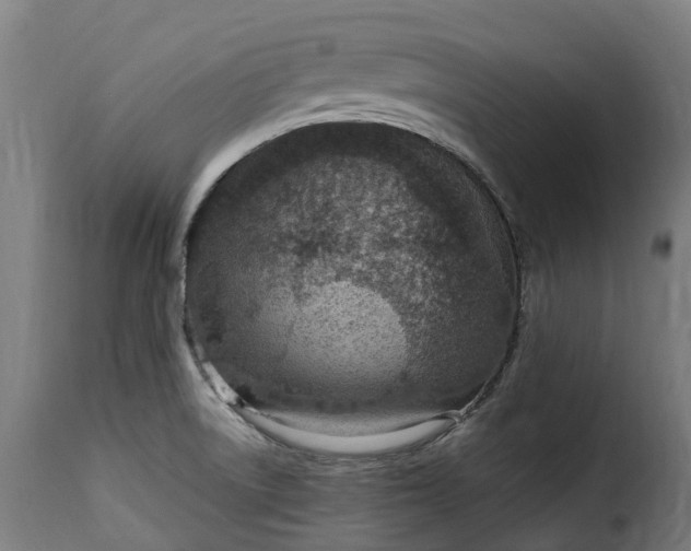 X0000115651522200911241723