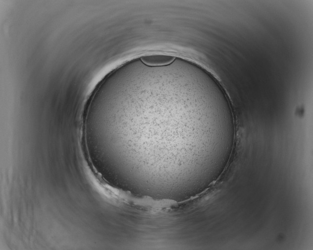 X0000115651523200911241723