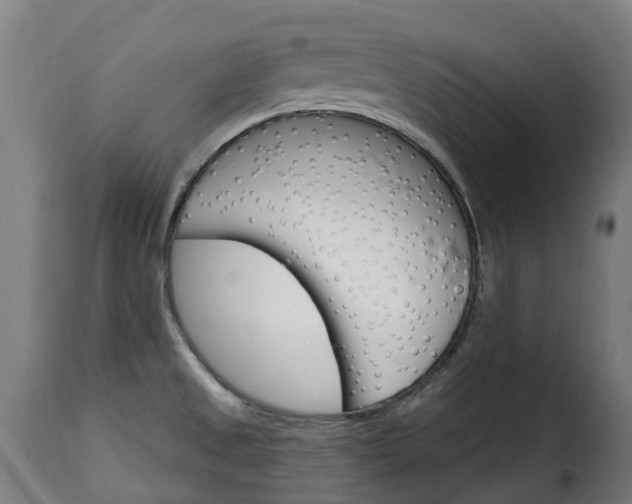 X0000115651525200911241723