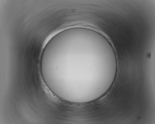 X0000115651530200911241723