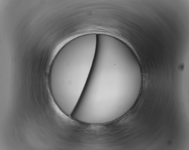 X0000115651531200911241723