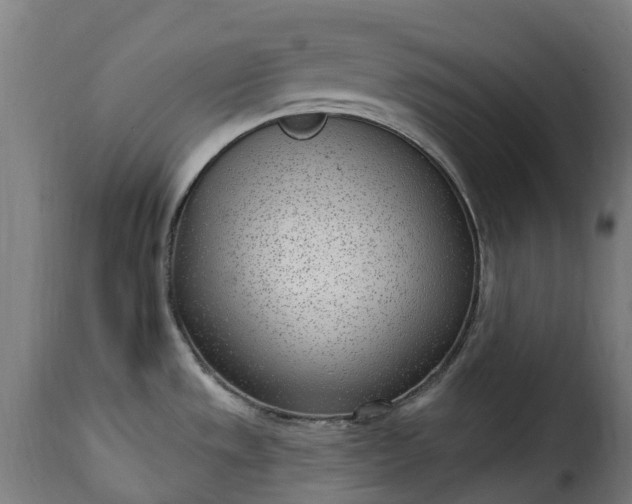 X0000115651533200911241723