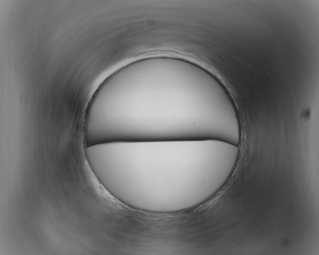 X0000115651534200911241723