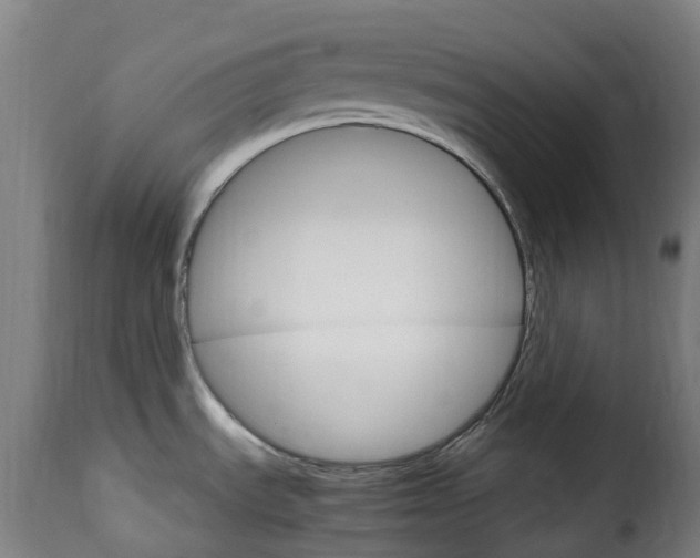 X0000115651535200911241723