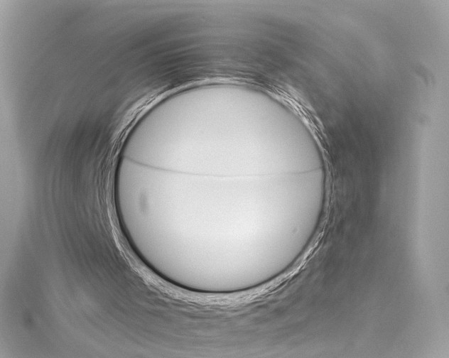 X0000115650001200912011532