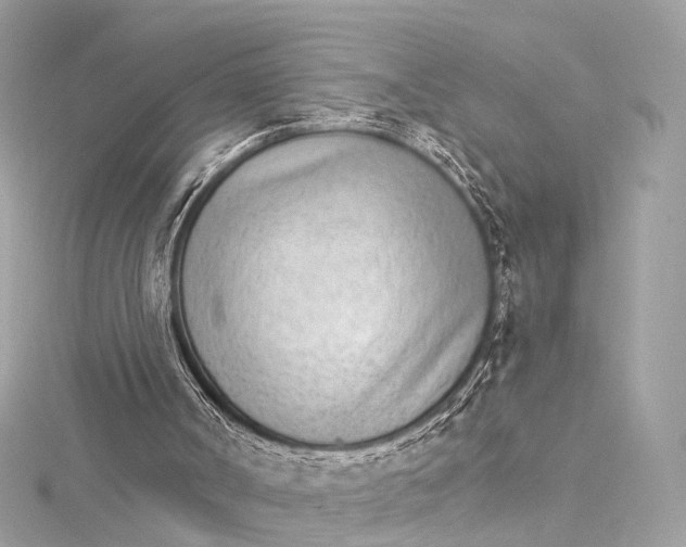 X0000115650002200912011532