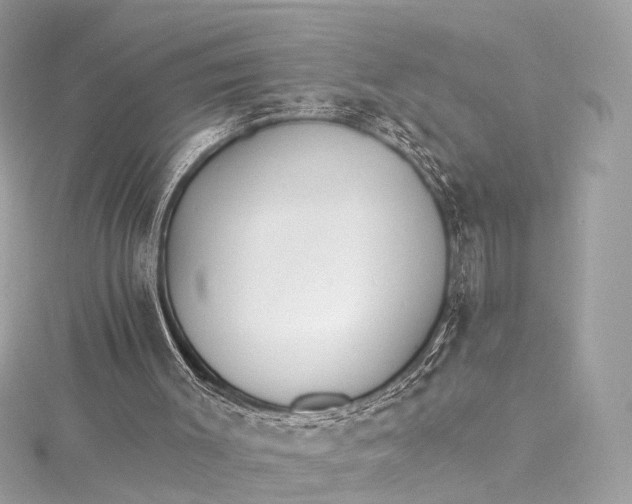 X0000115650003200912011532