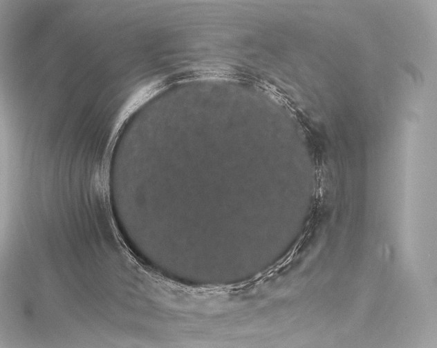 X0000115650004200912011532