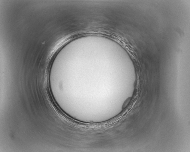 X0000115650005200912011532