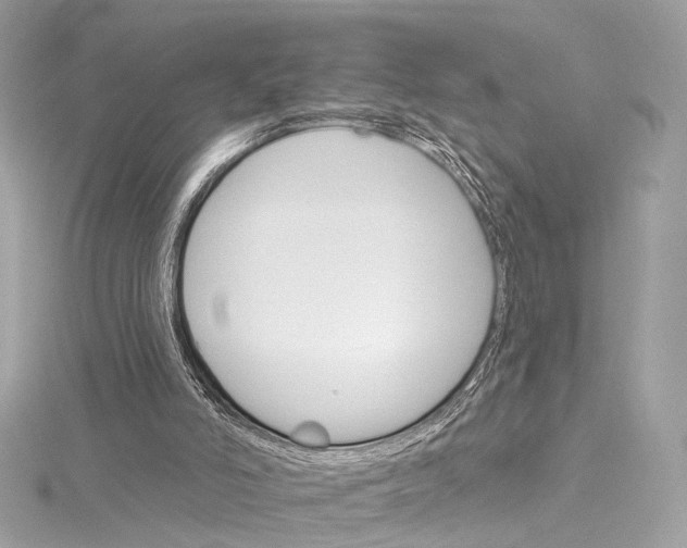 X0000115650006200912011532