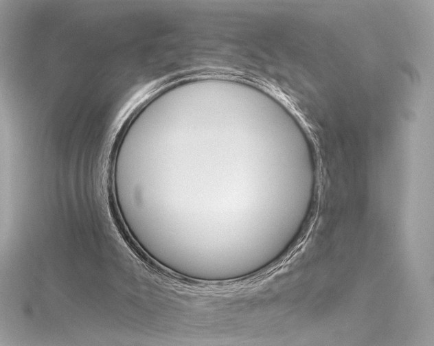 X0000115650007200912011532