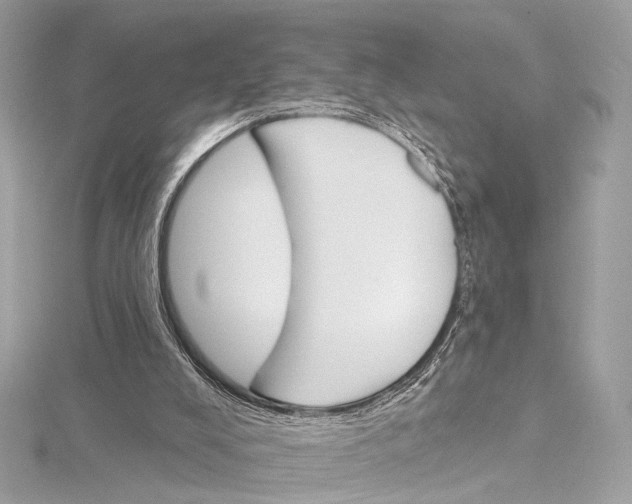 X0000115650008200912011532