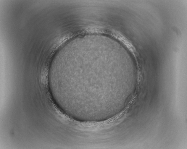 X0000115650009200912011532