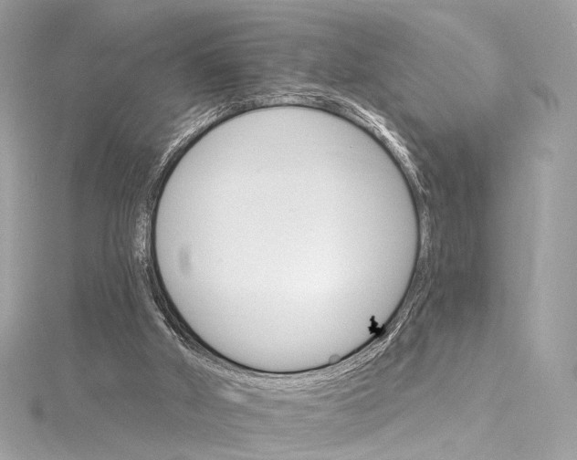 X0000115650010200912011532