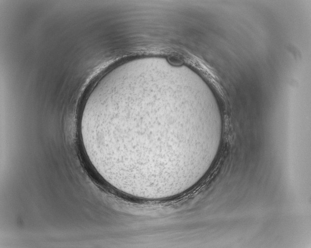 X0000115650012200912011532