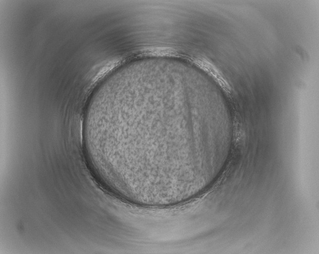 X0000115650014200912011532