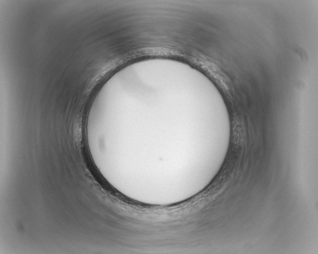 X0000115650015200912011531