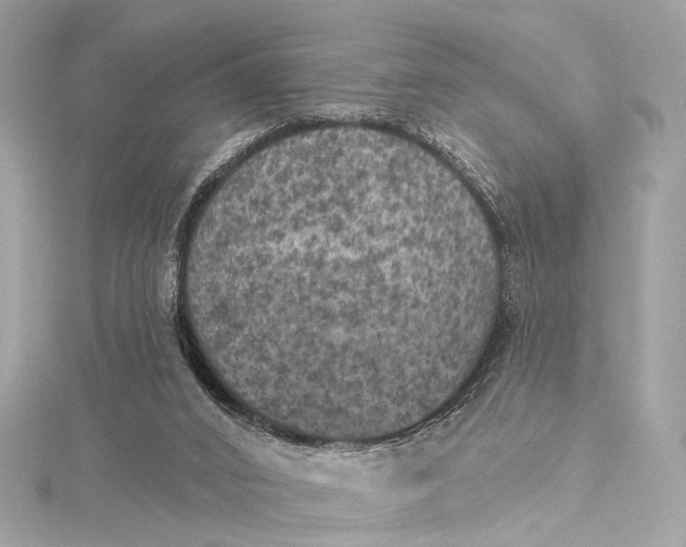 X0000115650016200912011531