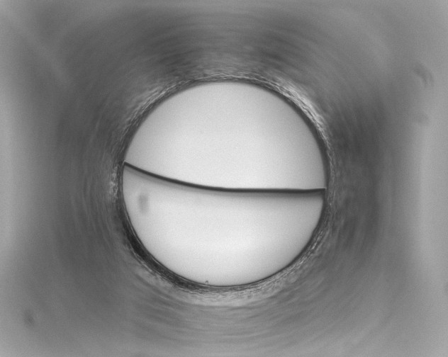 X0000115650017200912011531