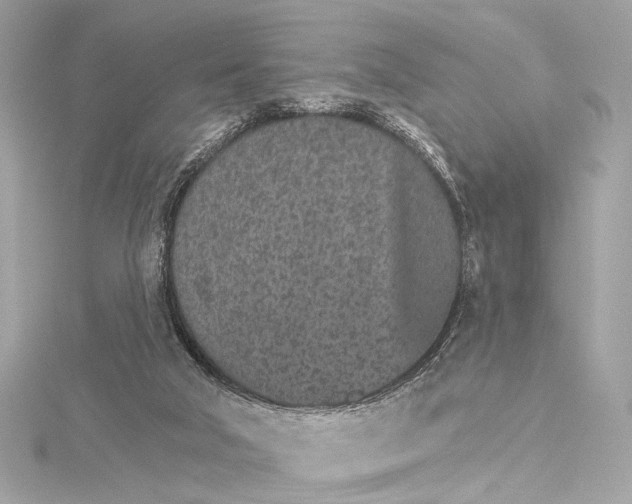 X0000115650018200912011531