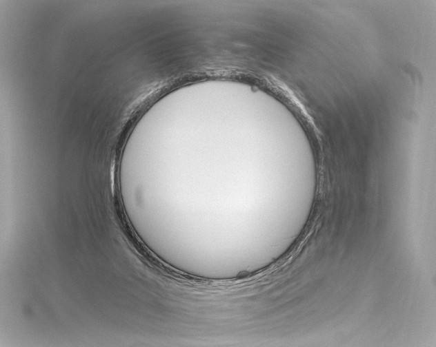 X0000115650019200912011531