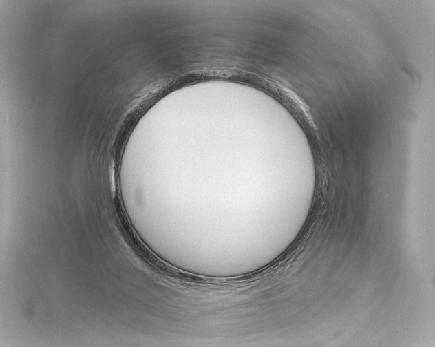 X0000115650020200912011531