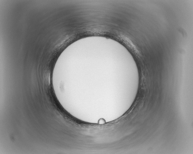 X0000115650021200912011531