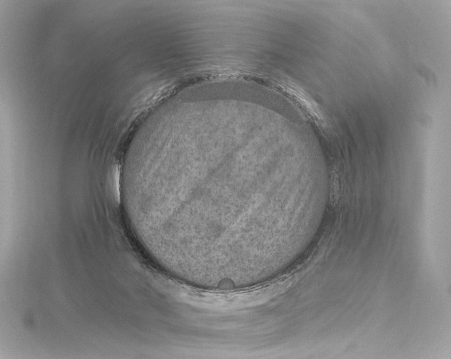 X0000115650022200912011531