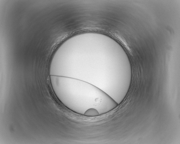 X0000115650023200912011531